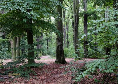 wildgehege schloss stern prag 5138