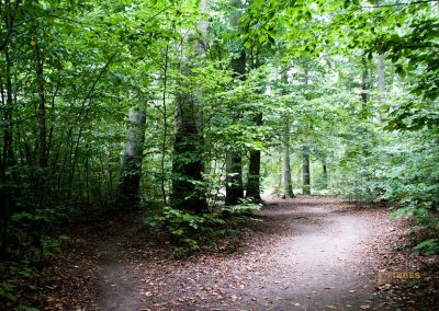 wildgehege schloss stern prag 5140