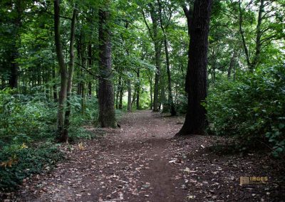 wildgehege schloss stern prag 5146