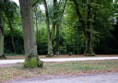 wildgehege schloss stern prag 5162