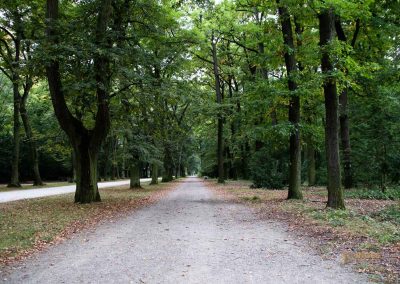 wildgehege schloss stern prag 5168