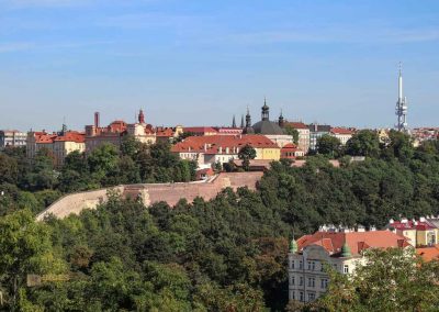 Auf dem Vyšehrad in Prag 27 blick vom vysehrad zur kirche mariae himmelfahrt und karl dem grossen 6998