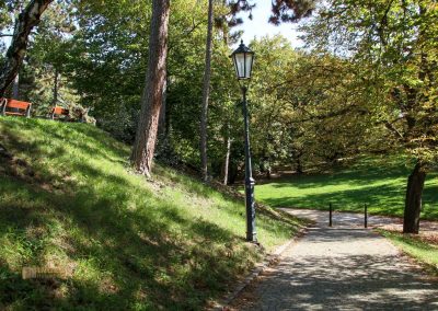 Auf dem Vyšehrad in Prag 30 park auf dem vysehrad 7127