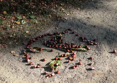 Auf dem Vyšehrad in Prag 40 park auf dem vysehrad 7832
