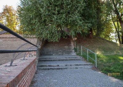 Auf dem Vyšehrad in Prag 35 park auf dem vysehrad 7887