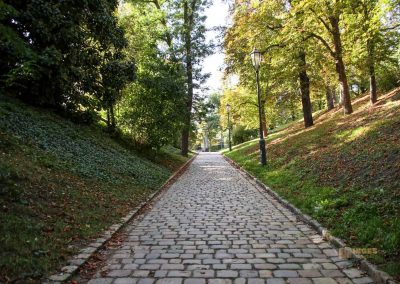 Auf dem Vyšehrad in Prag 36 park auf dem vysehrad 7901