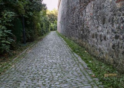 Auf dem Vyšehrad in Prag 38 park auf dem vysehrad 8116