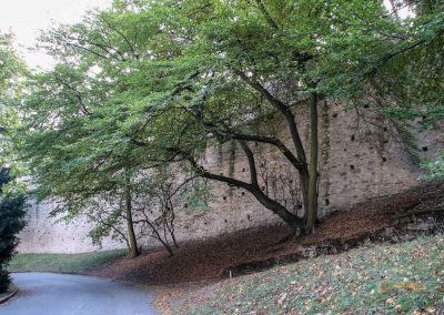 park berg petrin prag 6328