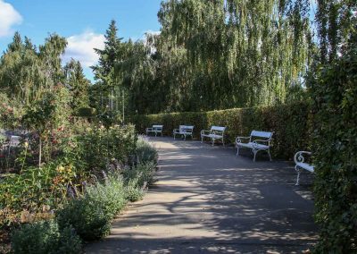 rosengarten berg petrin prag 5937