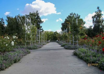 rosengarten berg petrin prag 5982