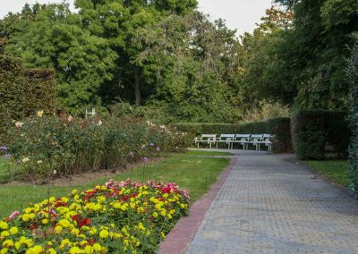 rosengarten berg petrin prag 6041