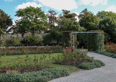 rosengarten berg petrin prag 6055