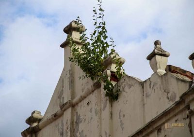 Die Prager Kleinseite (Malá Strana) kompakt - Ostteil 27 ehem.palais herren von hradec prager kleinseite 2723