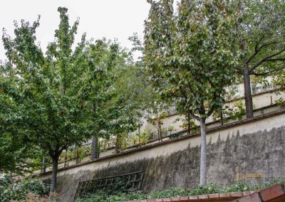 Im großen Fürstenberg-Garten (Velká Fürstenberská zahrada) in Prag 1 grosser fuerstenberg garten prag 1829