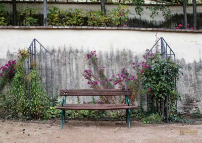 Im großen Fürstenberg-Garten (Velká Fürstenberská zahrada) in Prag 2 grosser fuerstenberg garten prag 2007