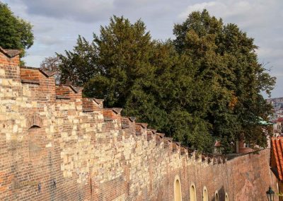 Die Prager Kleinseite (Malá Strana) kompakt - Ostteil 20 neue schlossstiege zur prager burg prager kleinseite 2629