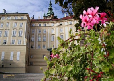Die Prager Burg (Pražský hrad) 101 paradiesgarten prager burg 2223