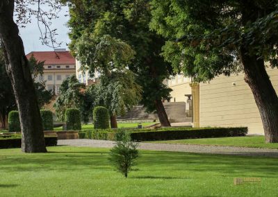 Die Prager Burg (Pražský hrad) 106 paradiesgarten prager burg 2248