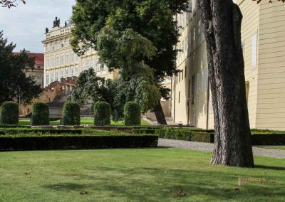 Die Prager Burg (Pražský hrad) 102 paradiesgarten prager burg 2255