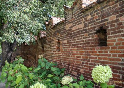 Die Prager Burg (Pražský hrad) 108 paradiesgarten prager burg 2259