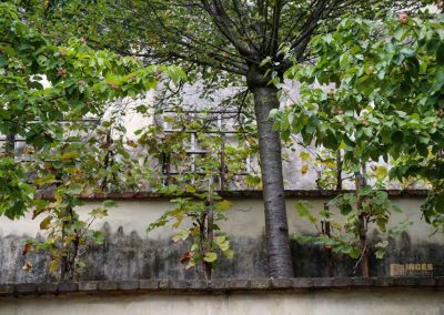 Im großen Fürstenberg-Garten (Velká Fürstenberská zahrada) in Prag 12 terassen grosser fuerstenberg garten prag 1833