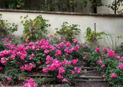 Im großen Fürstenberg-Garten (Velká Fürstenberská zahrada) in Prag 16 terassen grosser fuerstenberg garten prag 2003