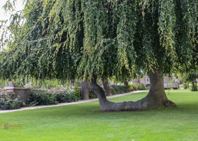 Die Prager Burg (Pražský hrad) 93 wallgarten prager burg 2130