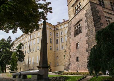 Die Prager Burg (Pražský hrad) 98 wallgarten prager burg 2167