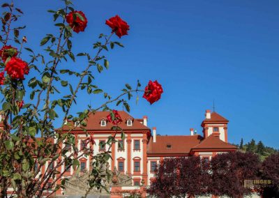 blick auf schloss troja prag vom schlossgarten 5841