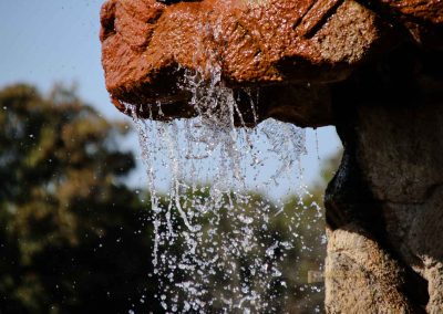 brunnen oberer garten von schloss troja in prag 5462