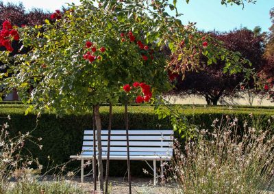 gaerten von schloss troja in prag 5802