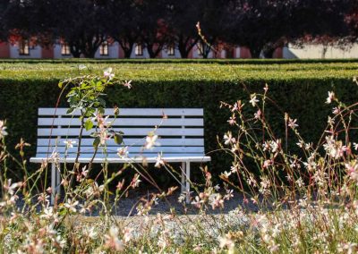 gaerten von schloss troja in prag 5805