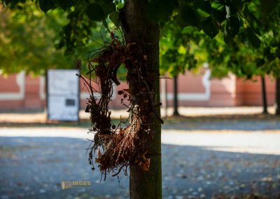 gaerten von schloss troja prag 0301