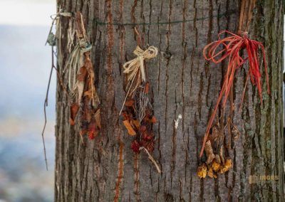 gaerten von schloss troja prag 0302