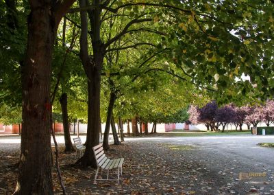 gaerten von schloss troja prag 5934