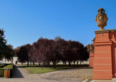 garten von schloss troja prag 5730