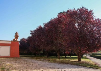 garten von schloss troja prag 5733