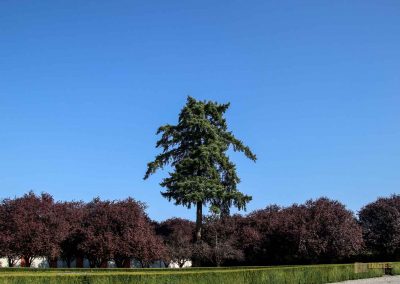 garten von schloss troja prag 5845