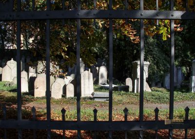 alter juedischer friedhof im stadtteil zižkov 3285