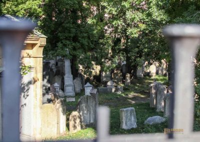 alter juedischer friedhof im stadtteil zižkov 3306
