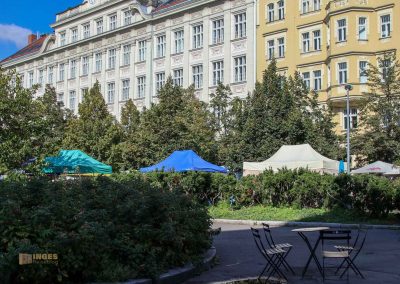 wochenmarkt prag zizkov 3093