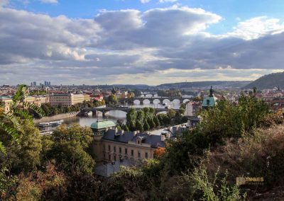 blick vom letna park auf die moldaubruecken in prag 8905