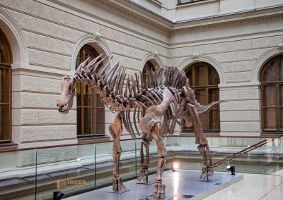 Im Nationalmuseum (Národní muzeum) in Prag 33 innenhof nationalmuseum in prag 0046