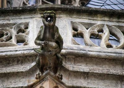 wasserspeier am dom hl. barbara kutna hora 7286
