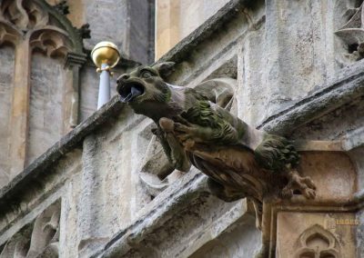 wasserspeier am dom hl. barbara kutna hora 7287