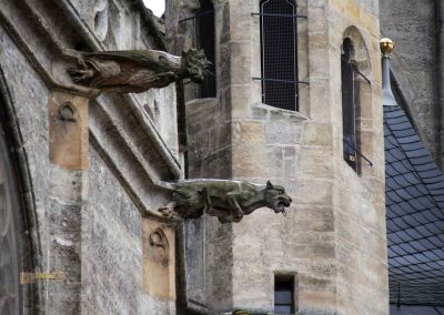 wasserspeier am dom hl. barbara kutna hora 7328