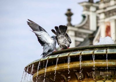 brunnen karlsplatz in kolin 1527