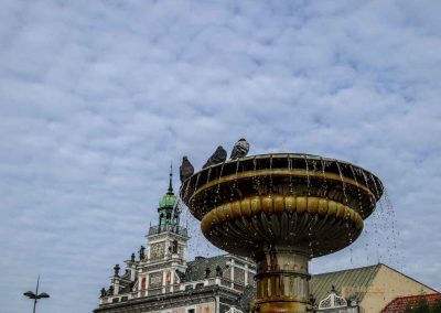 brunnen karlsplatz in kolin 1539