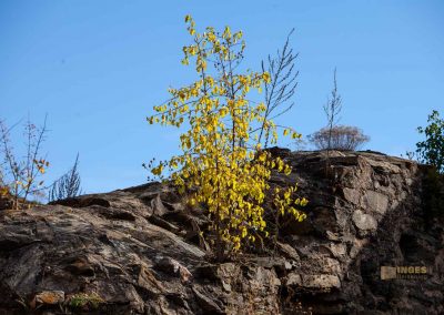 Burg Okoř bei Prag 71 detail burg okor bei prag 0132