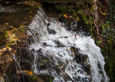 Burg Okoř bei Prag 83 dorf okor bei prag 0181